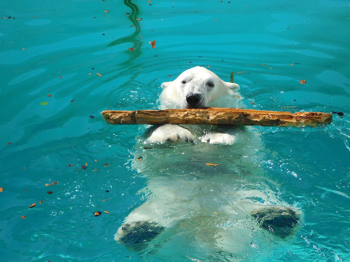 🐠 오가 수족관 가오 (男鹿水族館GAO)